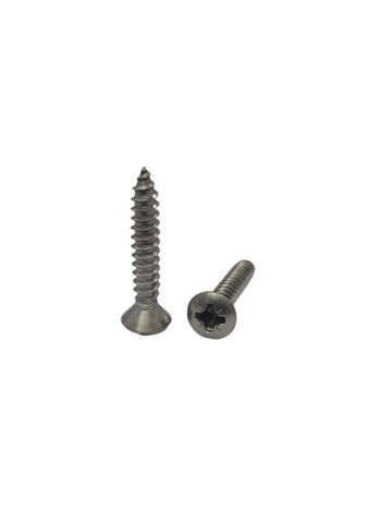 8G x 1 Raised Countersunk Self Tapping Screw 304 Stainless Steel Pozi