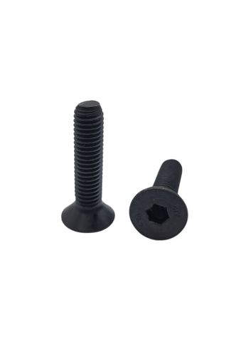 10 x 40 Countersunk Screw Black