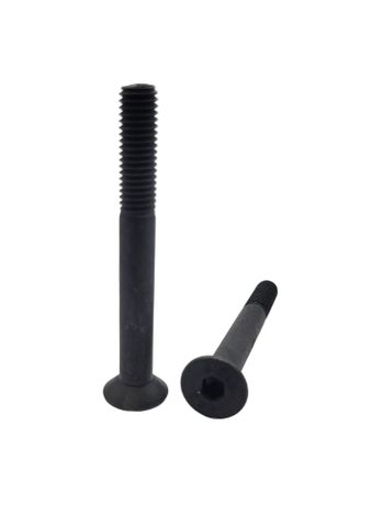 10 x 100 Countersunk Screw Black