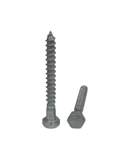 6 x 90 Coach Screw Galvanised