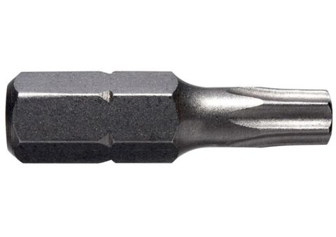 Alpha Torx Security Bit 20 x 25mm