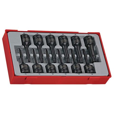 12pc 1/2in Dr. TX Skt Set TX10-70 - TC-Tray -Teng