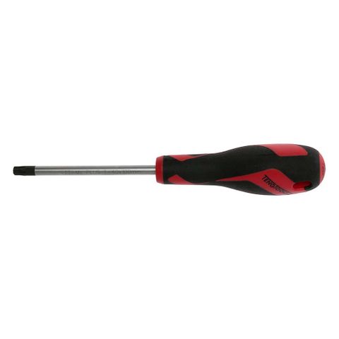 MD TT-MV+ Screwdriver TX40 x 100mm -Teng