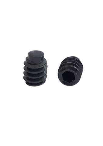 10 x 20 Grub Screw Black Dog Point