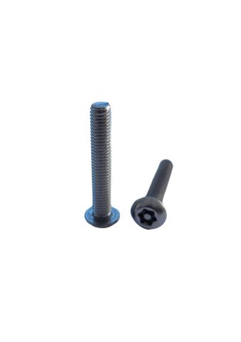 4 x 25 Button Head Machine Screw 304 Stainless Steel Post Torx