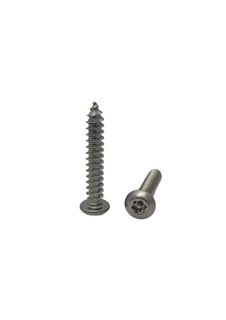 8G x 3/4 Panhead Self Tapping Screw 304 Stainless Steel Post Torx