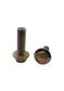 10 x 1.25 x 70 Fine 10.9 HT Flange Bolt Zinc Plated -NS