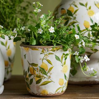 Urns, Vases & Planters
