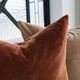 Cushion Inners