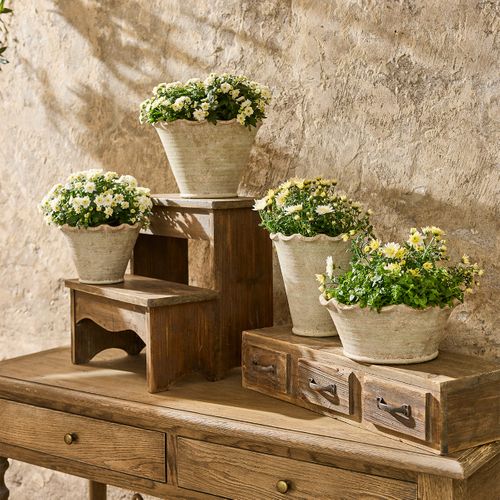 Urns, Vases & Planters