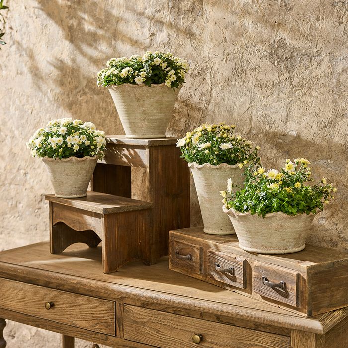 Urns, Vases & Planters