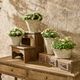Urns, Vases & Planters