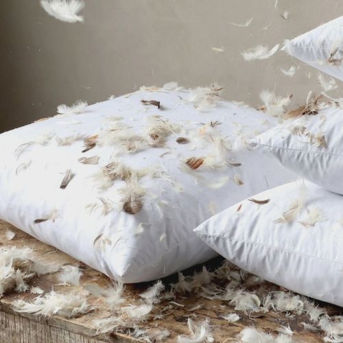 Cushion Inners