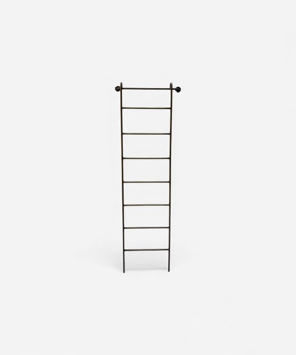 Metal Wall Ladder
