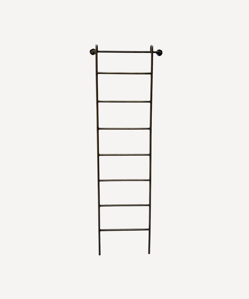 Metal Wall Ladder