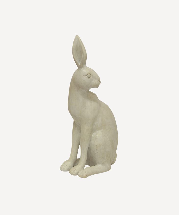 Harold the Hare Turning White