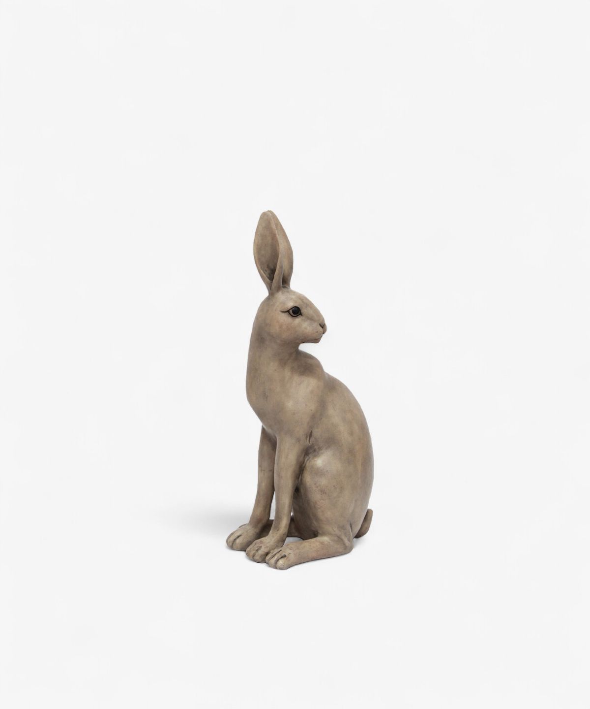 Harold the Hare Turning Brown