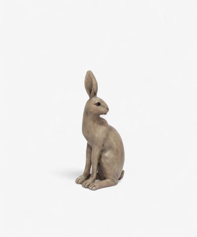 Harold the Hare Turning Brown