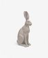 Harold the Hare Grey