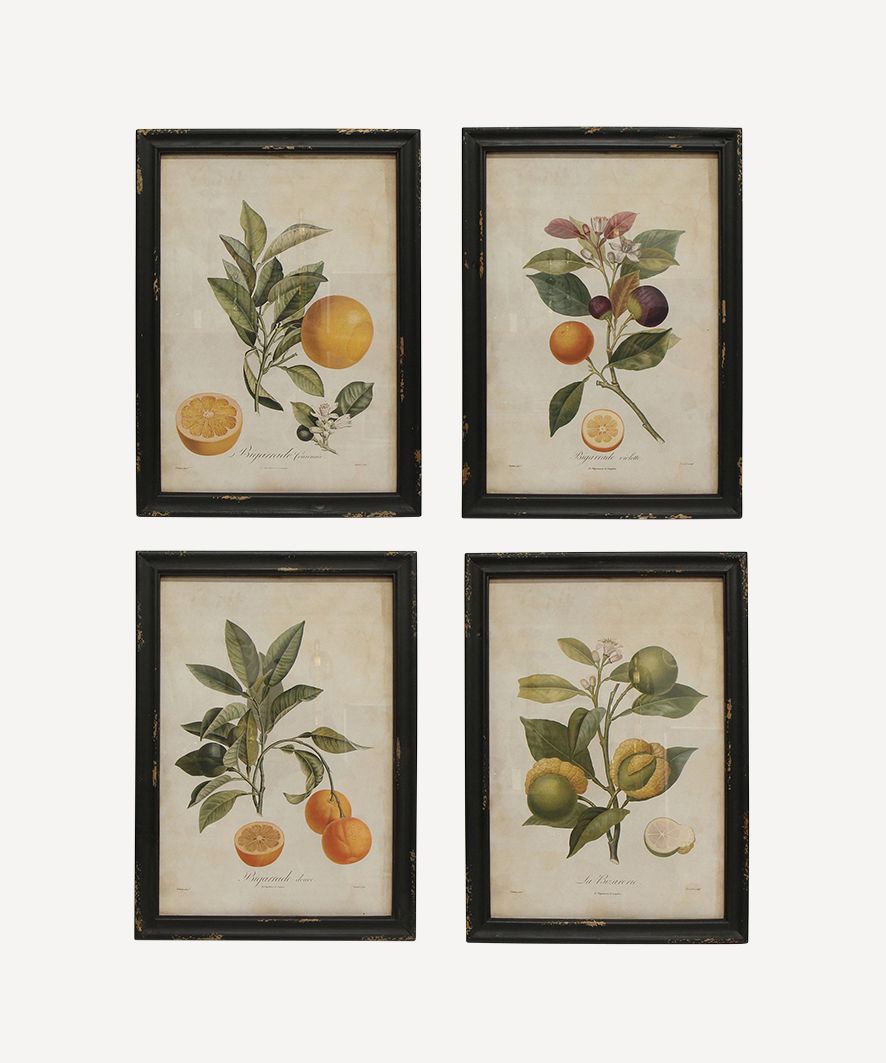 Botanical Wall Art (SET4)