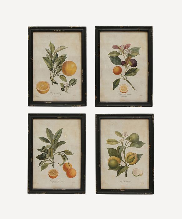 Botanical Wall Art (SET4)