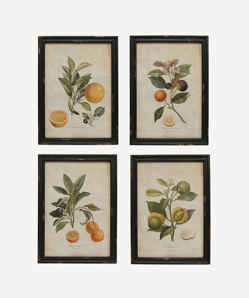 Botanical Wall Art (SET4)