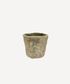 Verde Planter Small