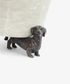 Dachshund Pot Stand  (3PC)