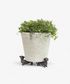 Dachshund Pot Stand  (3PC)