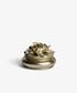 Camelia Small Round Trinket Box Pewter Finish
