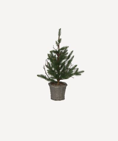 Pine Tree with Rattan Basket Extra Small