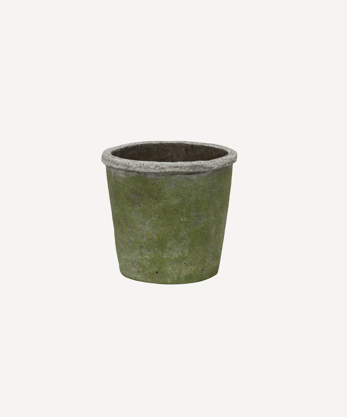 Evergreen Plant Pot Small