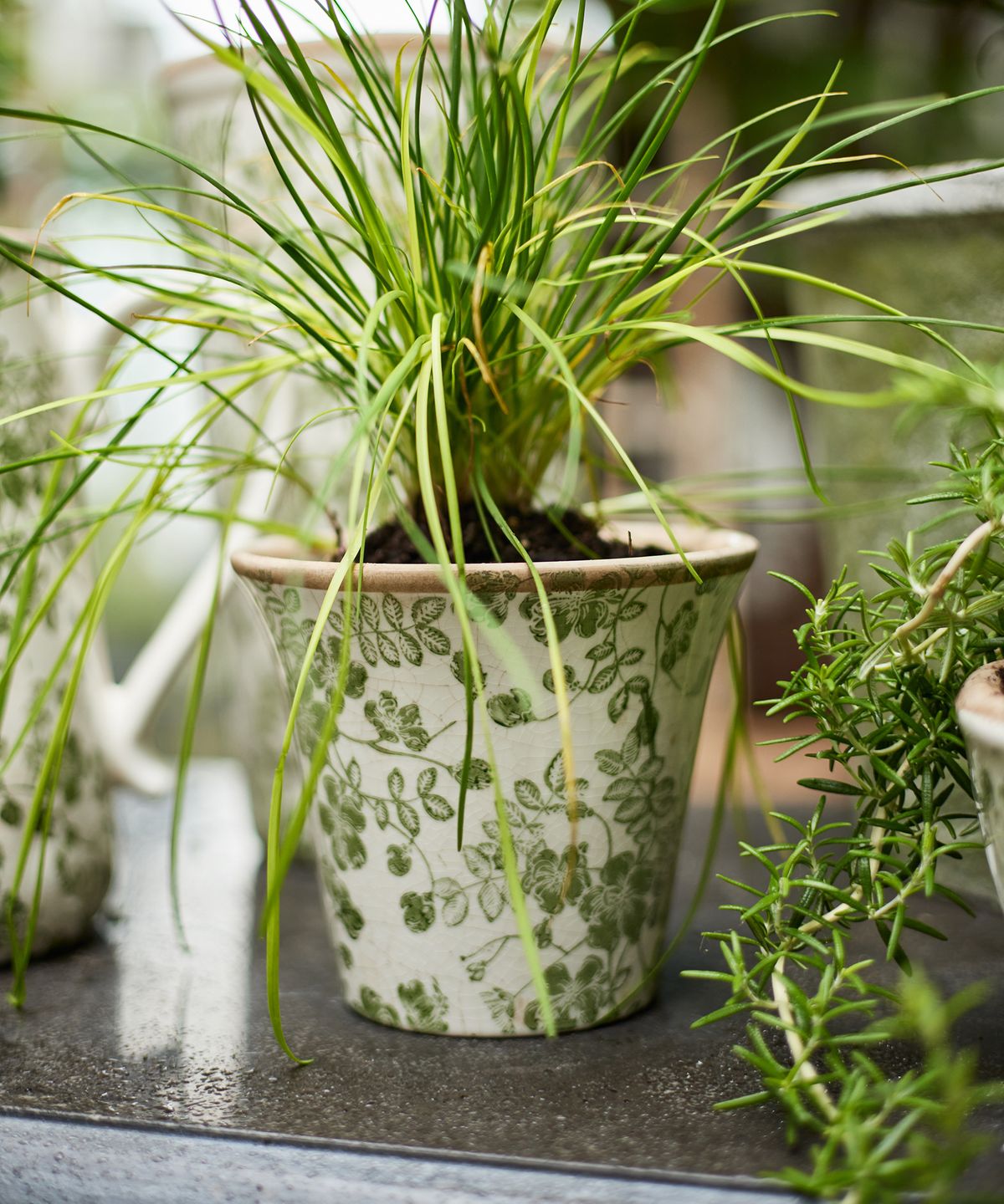 Botanical Fluted Pot Large