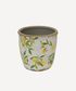 Botanical Lemon Pot Large