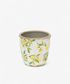 Botanical Lemon Pot Large