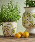 Botanical Lemon Pot Large
