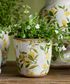 Botanical Lemon Pot Small