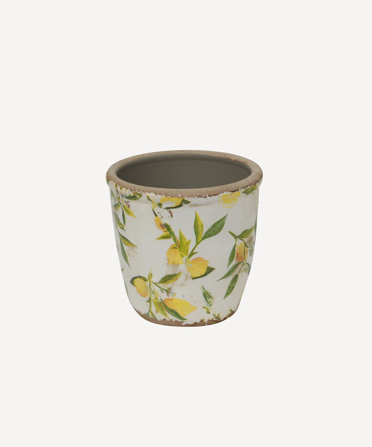 Botanical Lemon Pot Small