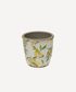 Botanical Lemon Pot Small