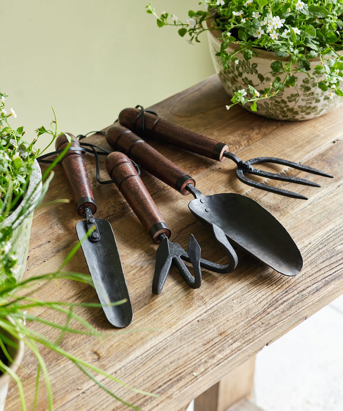 Garden Trowel Wooden Handle