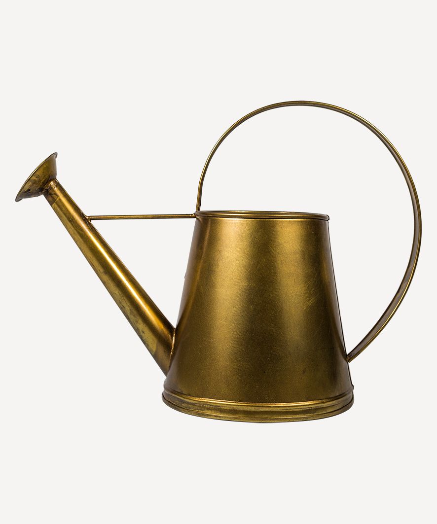 Alloy Gold Watering Can