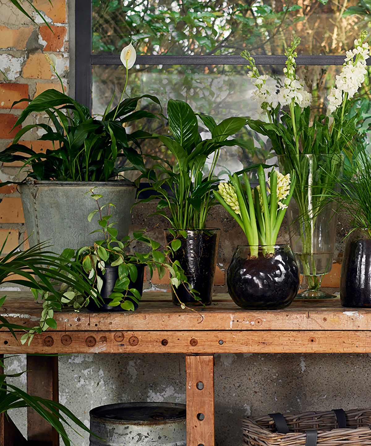 Dappled Clear Conical Vase