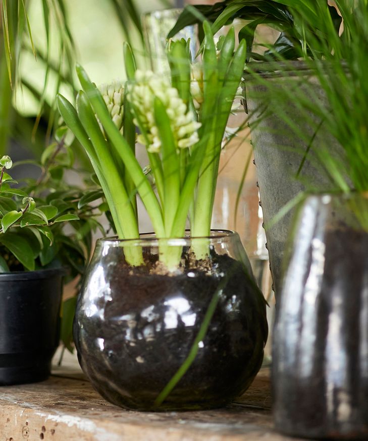 Dappled Clear Bowl Vase