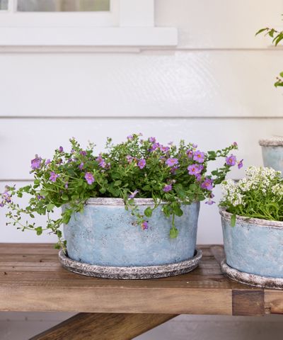 Sea Blue Wide Plant Pot & Saucer Large