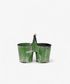 Jardin Seedling Holder