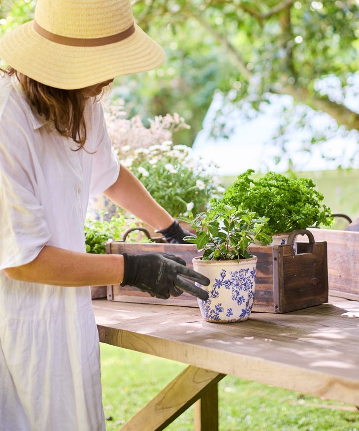 Blue Floral Herb Pot Small