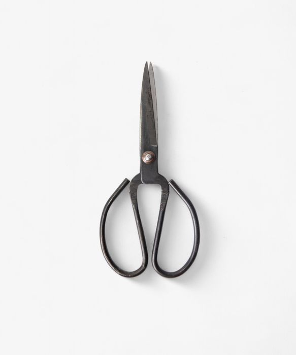 Black Herb Scissors Large
