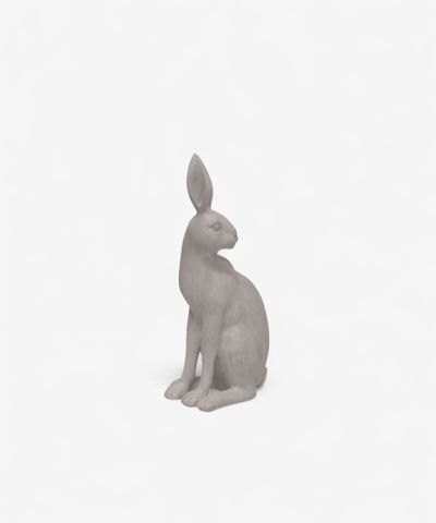Harold the Hare Turning Grey