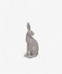 Harold the Hare Turning Grey