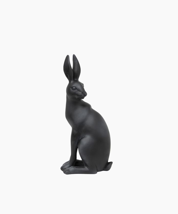 Harold the Hare Turning Black